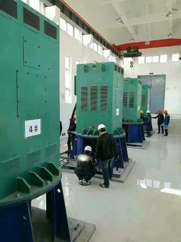 椒江某污水处理厂使用我厂的立式高压电机安装现场