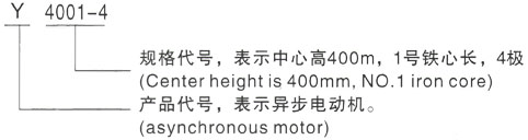 西安泰富西玛Y系列(H355-1000)高压椒江三相异步电机型号说明